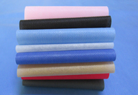 河源涤纶（PET）无纺布是什么