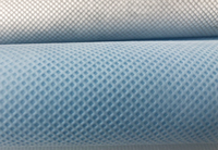 河源(PP)丙纶无纺布跟(PET)涤纶无纺布的区别